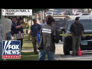 Read more about the article ICE agent critically wounded in deadly incident with illegal immigrant