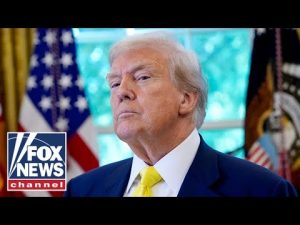 Read more about the article ‘BEST NEWS I’VE HEARD’: Blue city resident hails Trump crime crackdown