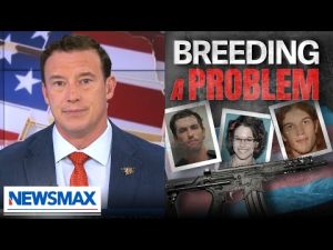 Read more about the article Carl Higbie: Kirk’s assassination isn’t some ‘sick, twisted, trans, furry love story’