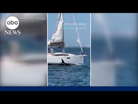 You are currently viewing ‘Oh my God!’: Orcas attack, sink another boat