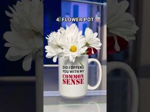 Read more about the article Not just for coffee anymore… Buy the Fox News @ Night Common Sense Mug on the Fox News Shop