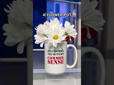 You are currently viewing Not just for coffee anymore… Buy the Fox News @ Night Common Sense Mug on the Fox News Shop
