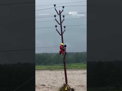 You are currently viewing Man saved after clinging to pole for hours amid flooding in India