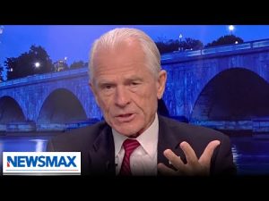 Read more about the article Peter Navarro: Everybody I served with was a target of Biden fascism | Carl Higbie FRONTLINE