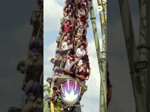Read more about the article Theme park guest dies after roller coaster ride in Florida