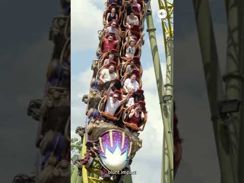 You are currently viewing Theme park guest dies after roller coaster ride in Florida