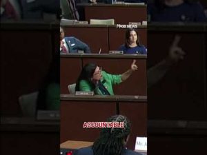 Read more about the article DC crime hearing ERUPTS into shouting match
