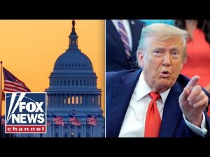Read more about the article Trump declares DC a ‘CRIME FREE ZONE’ as liberal leaders remain defiant