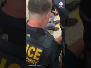 Read more about the article Several New York officials arrested in protest at Manhattan ICE office