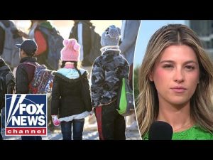 Read more about the article JUST IN: Four charged in DISTURBING international child smuggling ring