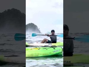 Read more about the article Breaching whales awe kayakers