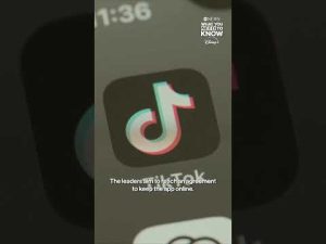 Read more about the article President Trump and Chinese leader Xi to discuss future of TikTok in US