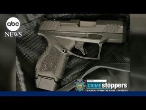 Read more about the article Student found with loaded gun in backpack at Queens high school after FBI tip