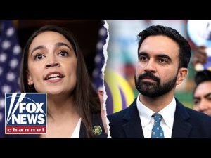 Read more about the article AOC, Mamdani may be targeting ‘old guard’ Democrats as party struggles