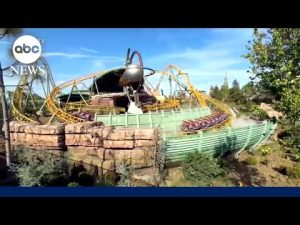 Read more about the article Universal’s Epic Universe rollercoaster cause of death revealed