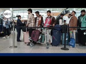 Read more about the article Cyberattack disrupts check-in systems at major European airports