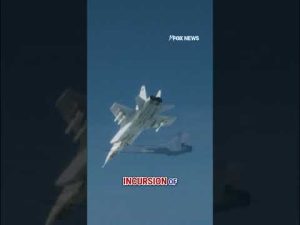 Read more about the article ‘BIG TROUBLE’: Trump warns Russia after jets breach NATO airspace #shorts #foxnews