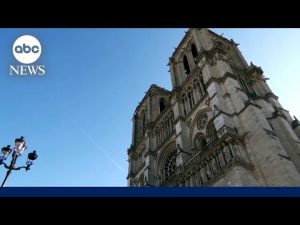 Read more about the article France officially reopens Notre Dame cathedral towers