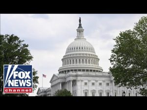 Read more about the article Democrats are ‘attempting to hold government funding HOSTAGE’ says Rep. John Thune (R-S.D.)