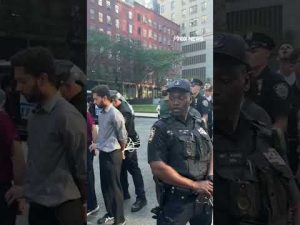 Read more about the article WATCH: New York politicians get cuffed after ICE showdown #shorts #nyc #politics #foxnews #usa
