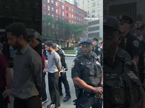You are currently viewing WATCH: New York politicians get cuffed after ICE showdown #shorts #nyc #politics #foxnews #usa