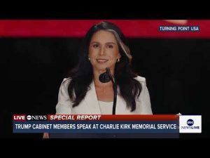 Read more about the article Director of National Intelligence Tulsi Gabbard says free speech must be protected ‘at all costs’