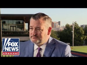 Read more about the article Ted Cruz sounds OFF on Dems: ‘So much anger and hate’
