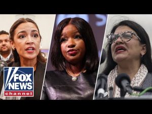 Read more about the article Miranda Devine: This has INFLAMED the left