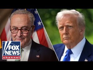 Read more about the article Chuck Schumer calls Trump ‘a THREAT to democracy’