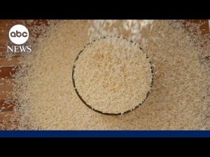 Read more about the article Tariffs and floods threaten India’s basmati rice exports to the US