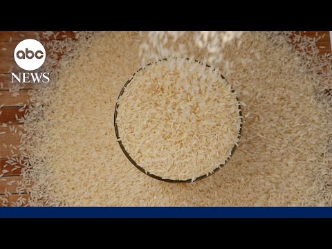 You are currently viewing Tariffs and floods threaten India’s basmati rice exports to the US