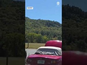 Read more about the article Small plane makes emergency landing on Connecticut racetrack