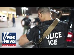 Read more about the article ‘INSANITY’: Blue state under fire for banning ICE officers from wearing masks