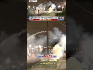 Read more about the article WATCH: Anti-ICE protests ERUPT into violence #shorts #foxnews #news #us #immigration