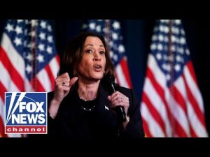 Read more about the article GOP gains more voters every time Kamala Harris opens her mouth, commentator says