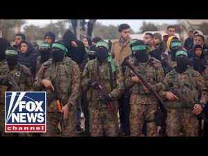 Read more about the article This is a HUGE reward for Hamas, expert says: ‘Defies good sense’