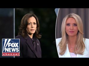 Read more about the article McEnany: This is a VERY bizarre claim