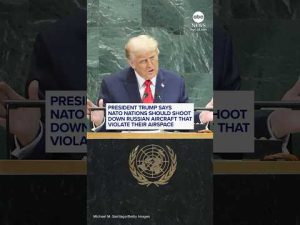 Read more about the article Trump: NATO nations should shoot down Russian drones in their airspace