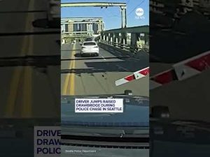 Read more about the article Driver jumps raised drawbridge during police chase in Seattle