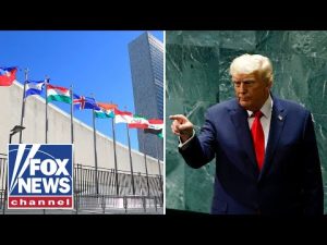 Read more about the article ‘YOUR COUNTRIES ARE GOING TO HELL’: Trump has blunt message for UN