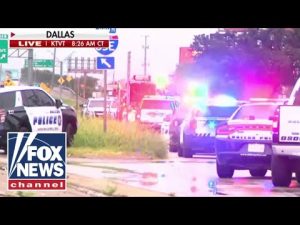Read more about the article BREAKING: No ICE officers injured during shooting at Texas facility