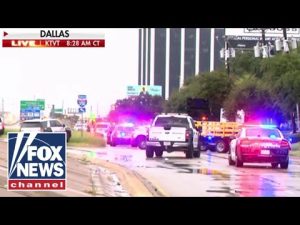 Read more about the article WATCH LIVE: Police hold press conference after deadly shooting at Texas ICE facility