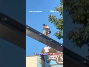 Read more about the article MONORAIL MISHAP: Hersheypark attendee rescues child stranded 100 feet up #shorts #foxnews #news #us