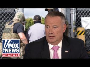Read more about the article This violence ‘KEEPS ME UP AT NIGHT’: ICE director