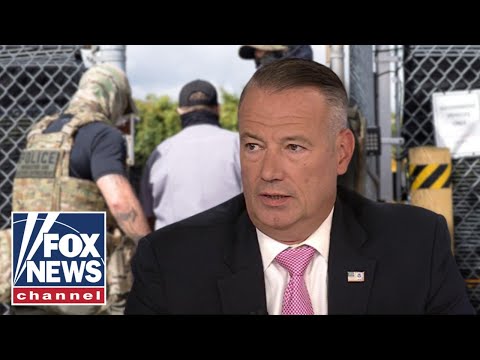 You are currently viewing This violence ‘KEEPS ME UP AT NIGHT’: ICE director