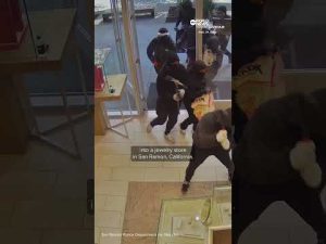 Read more about the article Robbers ransack California jewelry store in $1 million smash-and-grab