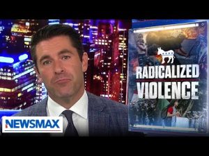 Read more about the article ‘What changed’ in that party?: Schmitt explains how Dems began ‘radicalizing’ violent people