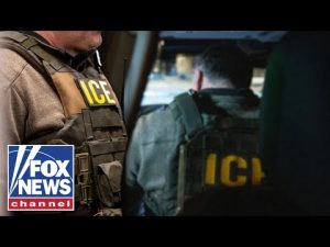 Read more about the article ‘THIS HAS TO STOP’: Dems urged to end anti-ICE rhetoric after ‘targeted’ attack at Dallas facility