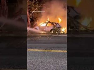 Read more about the article WATCH: Army football player rescues victim from burning car #shorts #viral #carcrash #caraccident