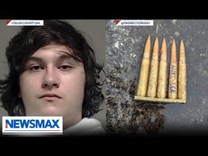 Read more about the article The Right Squad exposes a ‘pattern’ that’s happening with radical assassins